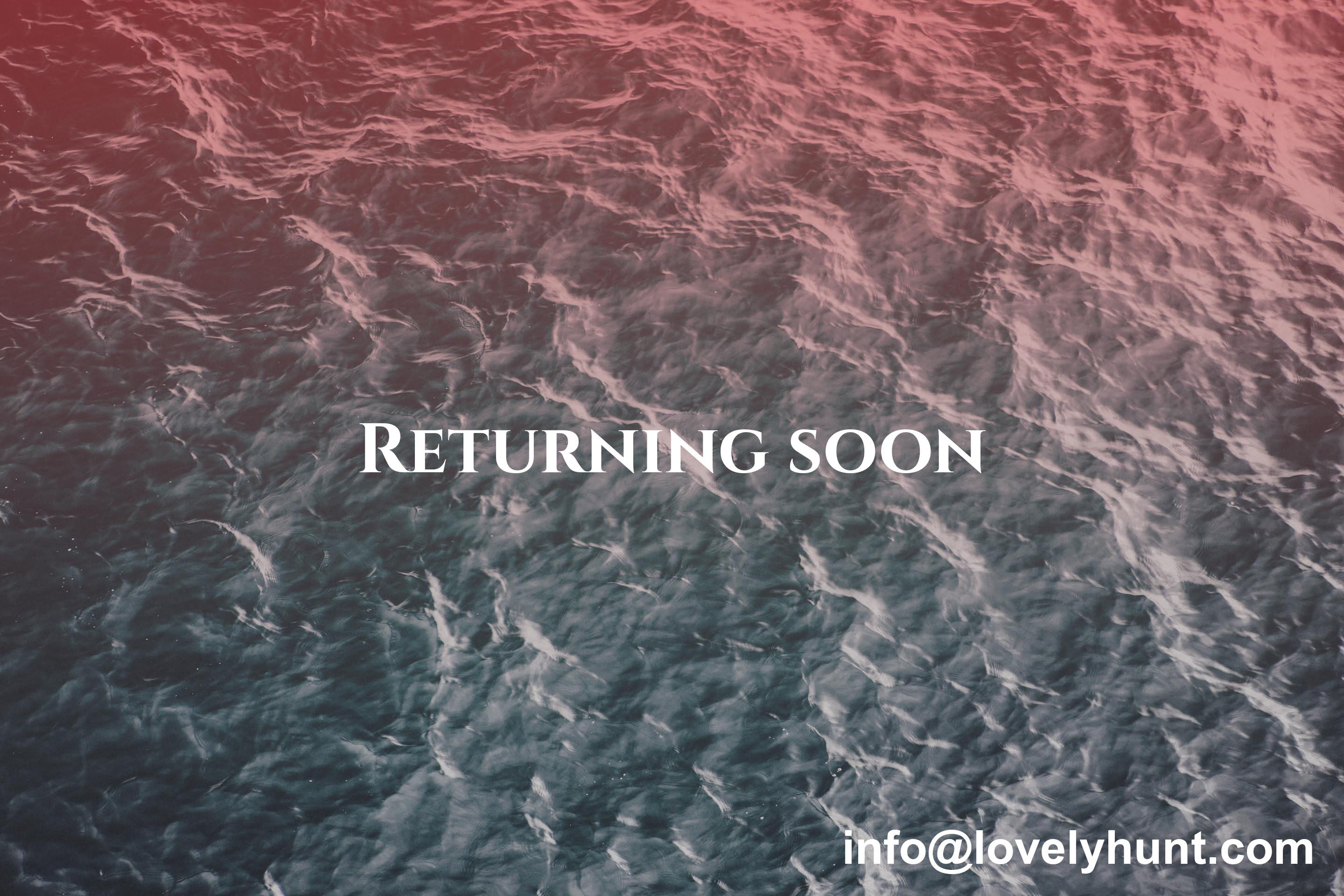Lovely Hunt - Returning Soon
